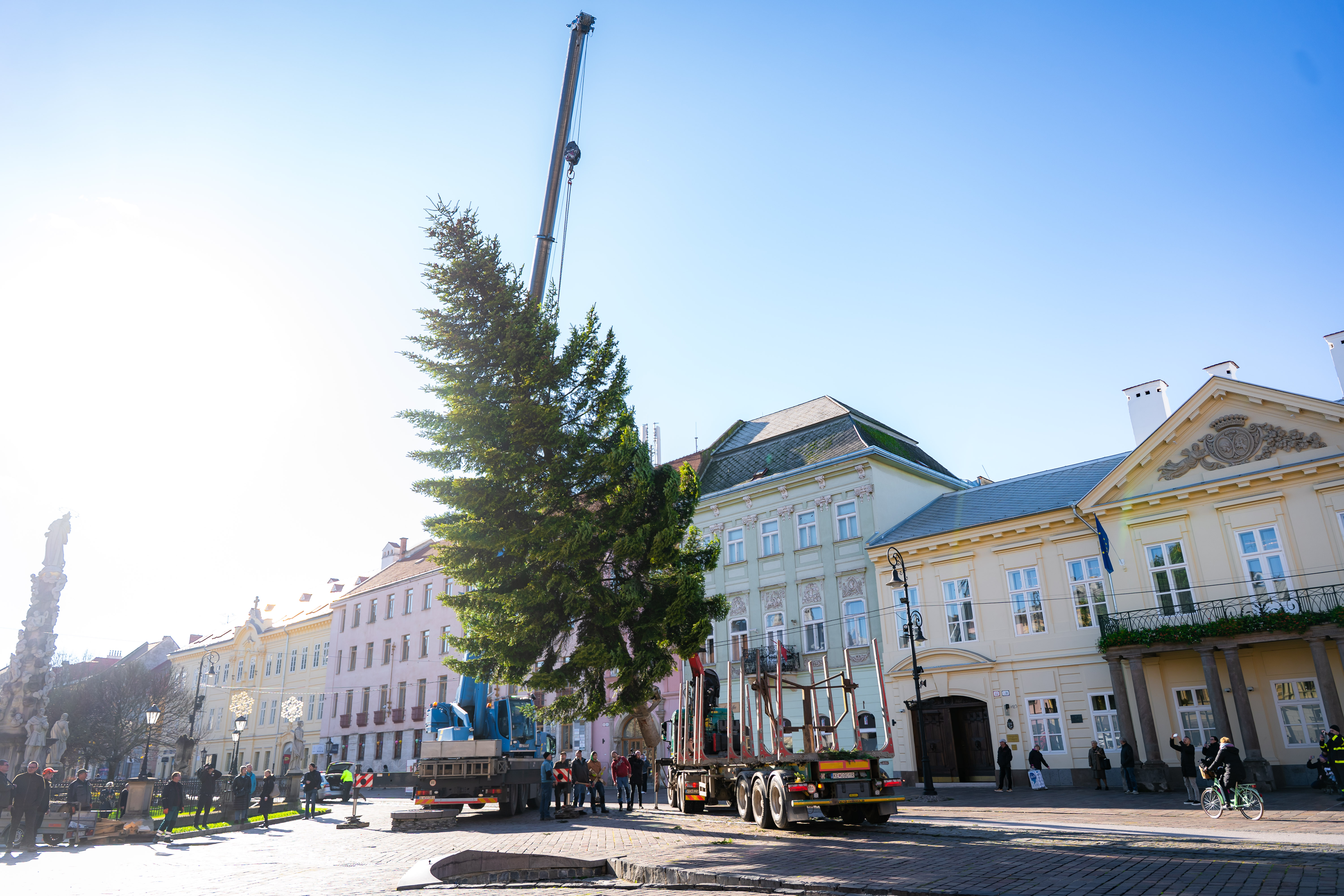 Umiestnovanie Vianocneho stromu-19